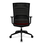 back-view.png