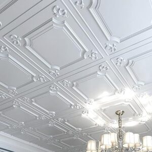 24x24 White Ceiling Tiles